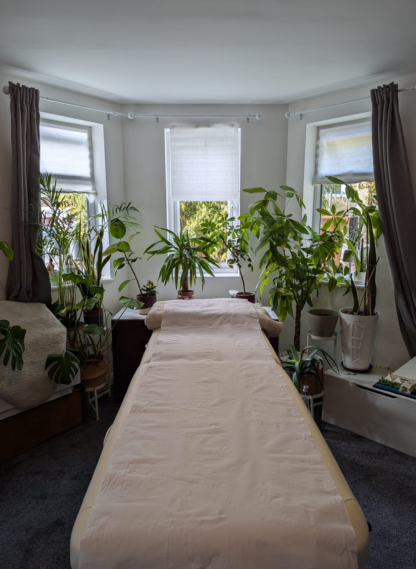 The Peaceful Clinical Treatment Space